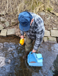 vysazování pstruha potočního